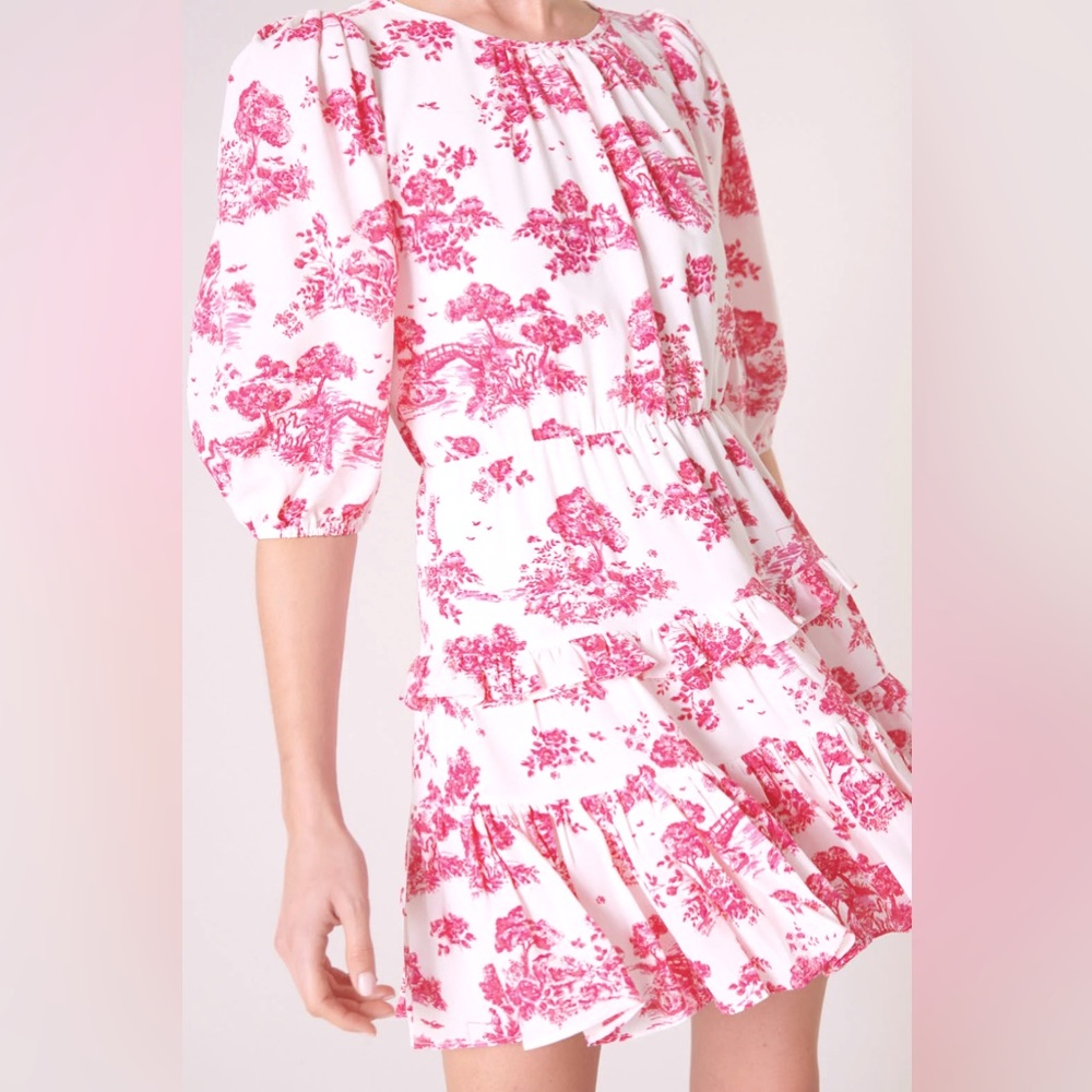 Ainsley Meadow Toile Pink & White Dress